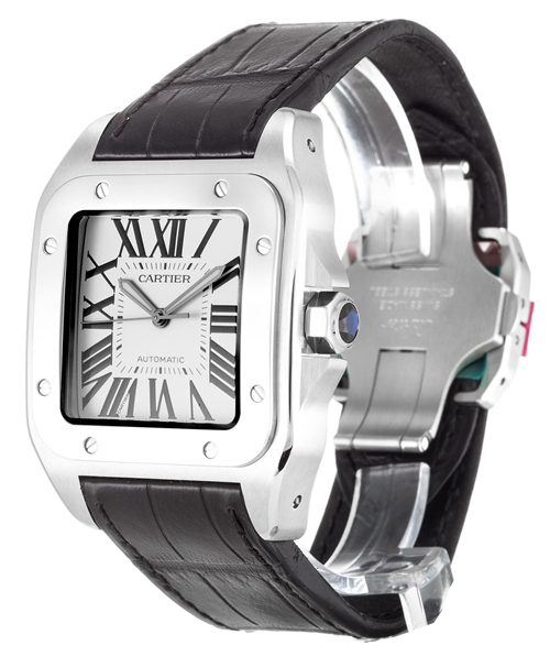 Cartier Santos 100 W20073X8 - view 3